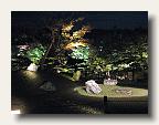 Kodai-ji temple by night IMG_6365